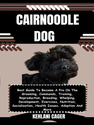 cover image of CAIRNOODLE  DOG